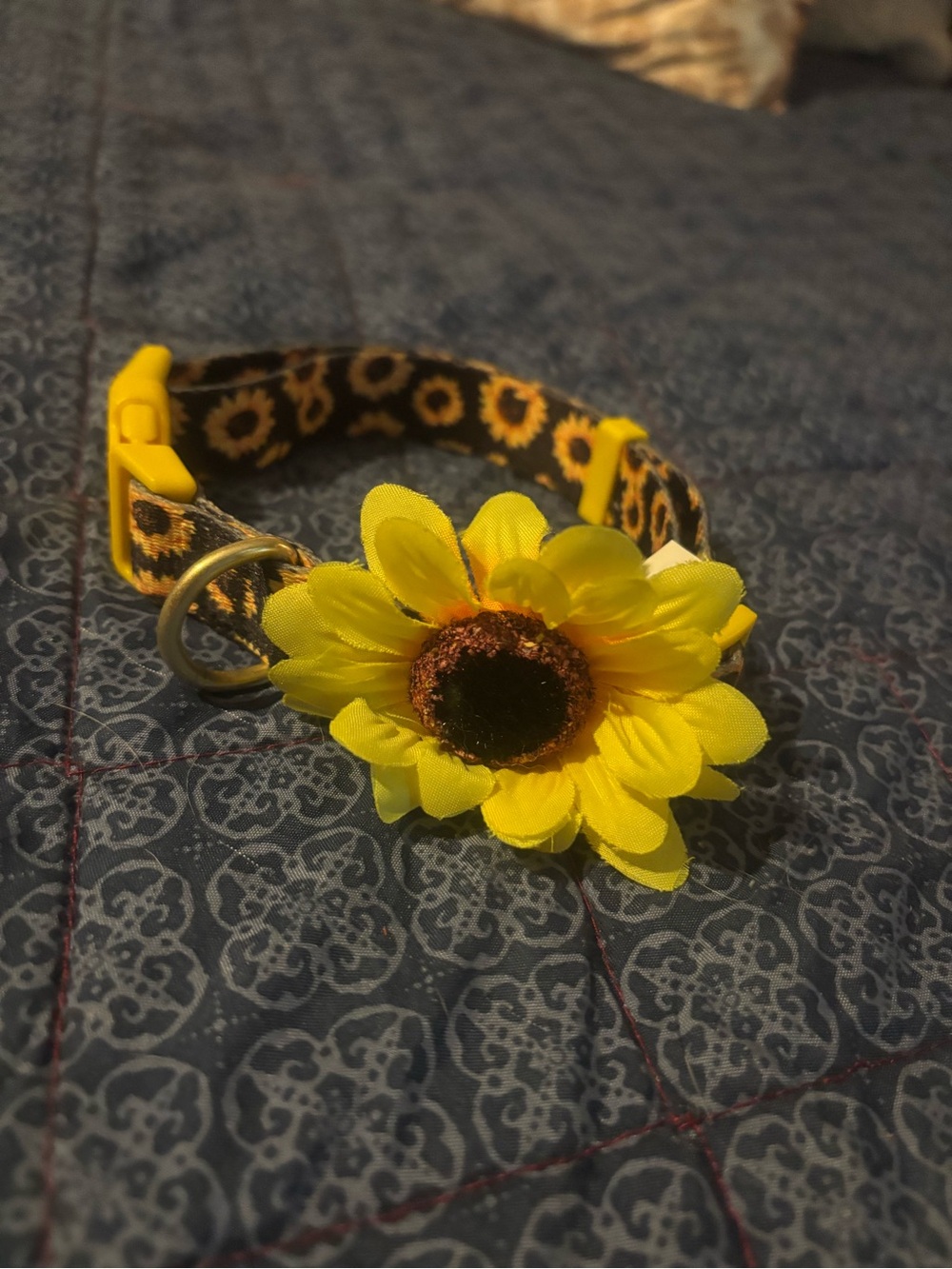 Top Paw Yellow and Black Sunflower Dog Collar